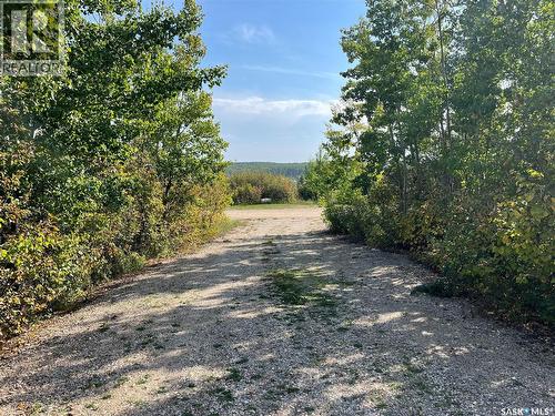 645 Willow Point Way, St. Brieux, SK 