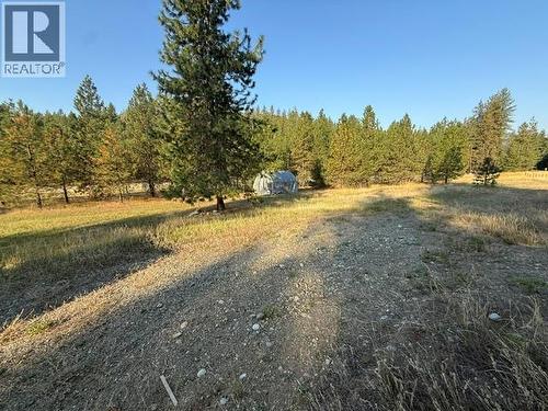 990 395 Highway, Christina Lake, BC 