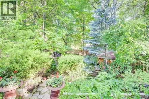 Private back yard - 85 Union Boulevard, Kitchener, ON - Outdoor