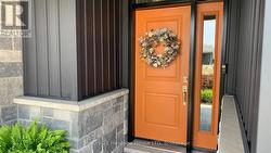 Bold front door - 