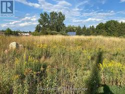 0 ARTEMESIA STREET  Southgate, ON N0C 1B0