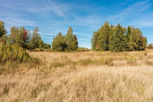 Terre/Terrain - Rue Étienne-Desmarteau, Sherbrooke (Brompton/Rock Forest/Saint-Élie/Deauville), QC 
