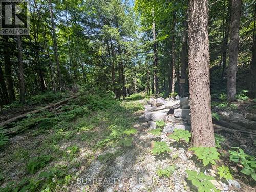 2318 Sherwood Forest Lane, Severn, ON 