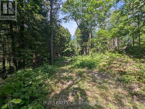 2318 Sherwood Forest Lane, Severn, ON 