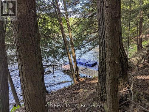 2318 Sherwood Forest Lane, Severn, ON 