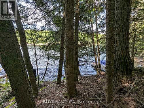 2318 Sherwood Forest Lane, Severn, ON 