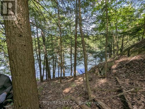 2318 Sherwood Forest Lane, Severn, ON 