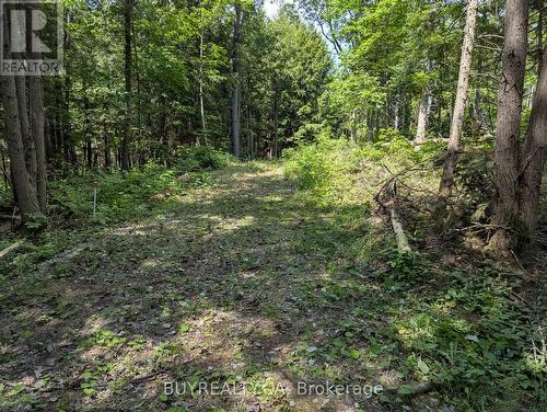 2318 Sherwood Forest Lane, Severn, ON 