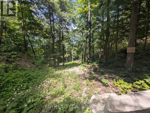 2318 Sherwood Forest Lane, Severn, ON 