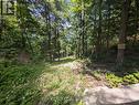 2318 Sherwood Forest Lane, Severn, ON 