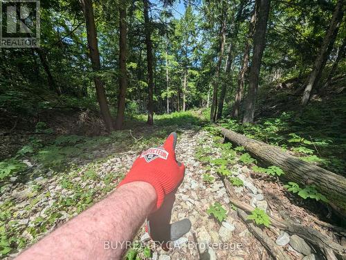 2318 Sherwood Forest Lane, Severn, ON 