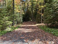 Secondary Driveway - 