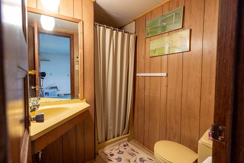 Salle d'eau - 15 Rue Lynch, Lac-Brome, QC - Indoor Photo Showing Bathroom