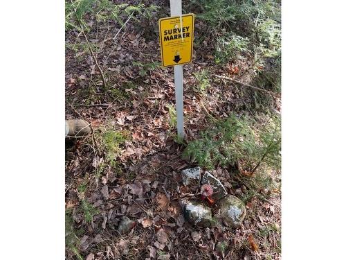 Lot B4 Cloverdale Road, Stewiacke East, NS 