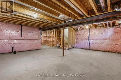 32 Alayche Trail, Welland, ON - Indoor Photo Showing Basement