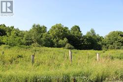 494 TWIN SISTER LAKES ROAD  Marmora And Lake (Marmora Ward), ON K0K 2M0