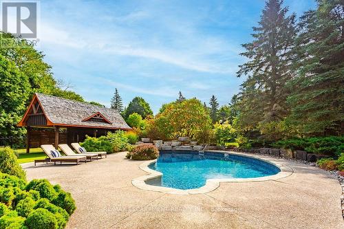 12 Blackberry Place, Hamilton, ON - Outdoor With In Ground Pool With Backyard