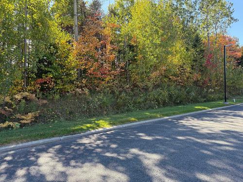 Land/Lot - 213-264 Ch. St-Grégoire, Lévis (Les Chutes-De-La-Chaudière-Ouest), QC 