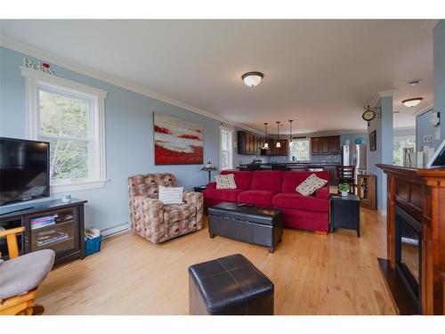 239-241 Burnt Head Loop Road, Cupids, NL 