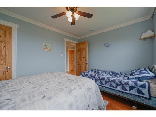 239-241 Burnt Head Loop Road, Cupids, NL 