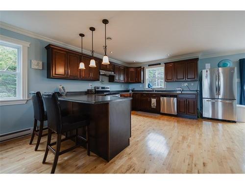 239-241 Burnt Head Loop Road, Cupids, NL 