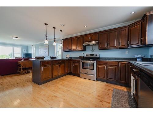 239-241 Burnt Head Loop Road, Cupids, NL 