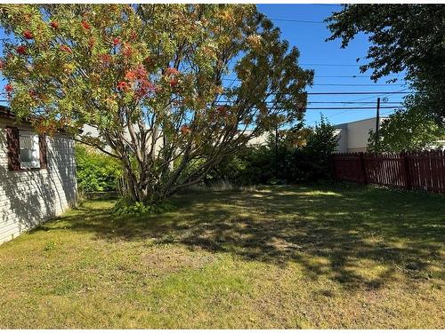 11 Robertson Avenue, Gander, NL 