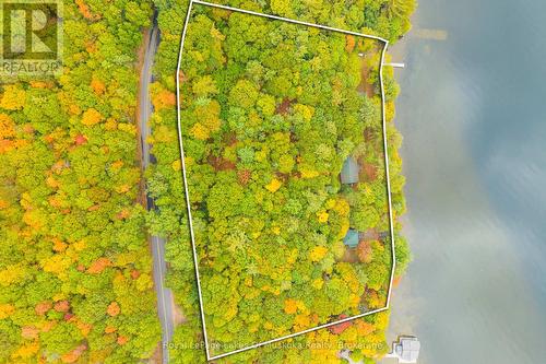 3384 South Portage Road, Huntsville (Brunel), ON 