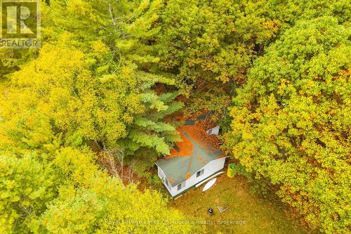 Cottage 1 - 3384 South Portage Road, Huntsville (Brunel), ON 