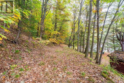 3384 South Portage Road, Huntsville (Brunel), ON 