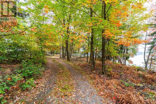 3384 South Portage Road, Huntsville (Brunel), ON 