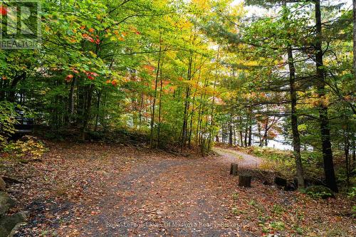 3384 South Portage Road, Huntsville (Brunel), ON 