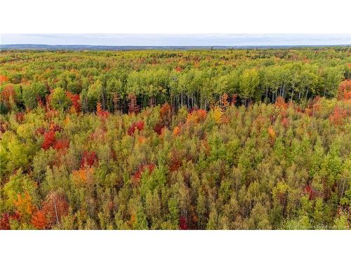 21-4 Middlesex, Colpitts Settlement, NB 