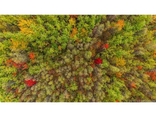 21-4 Middlesex, Colpitts Settlement, NB 