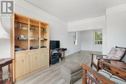 Lower Level Living Room - 