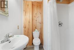 Lower Level 3Pc Bath - 