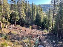 Wapiti Creek Road  Oliver, BC V0H 1T8