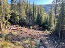 Wapiti Creek Road, Oliver, BC  - Outdoor With View 