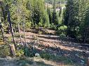 Wapiti Creek Road, Oliver, BC  - Outdoor With View 