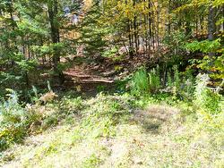 56 Ch. du Mica  Val-Des-Monts, QC J8N 6B2