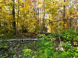 25 Ch. du Mica  Val-Des-Monts, QC J8N 6B2