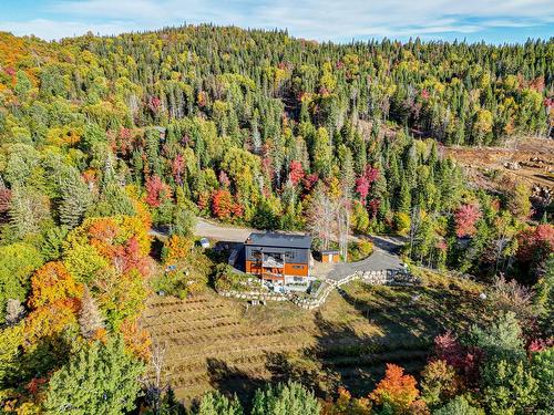 Extérieur - 181 Mtée Du Coteau, Lantier, QC - Outdoor With View