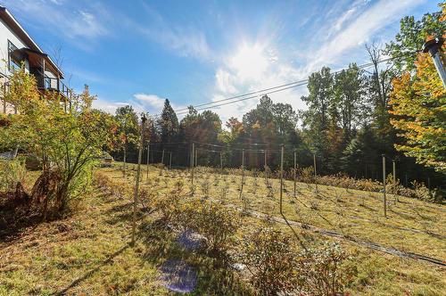 Extérieur - 181 Mtée Du Coteau, Lantier, QC - Outdoor With View