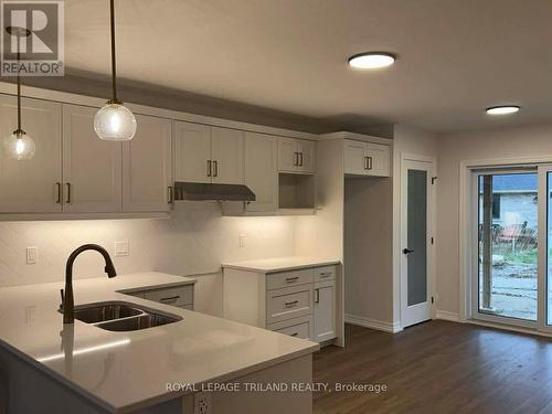 14 Harrow Lane, St. Thomas, ON - Indoor Photo Showing Kitchen With Double Sink
