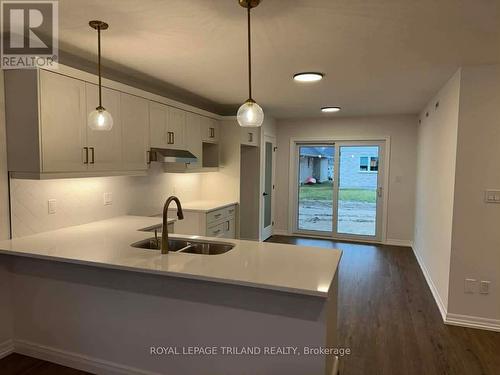 14 Harrow Lane, St. Thomas, ON - Indoor Photo Showing Kitchen With Double Sink