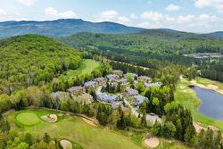 214 Allée Boréalis  Mont-Tremblant, QC J8E 0A4