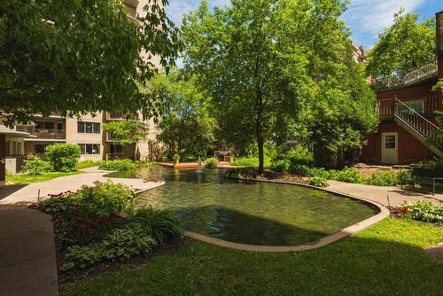 Garden - 1116-1100 Av. Du Docteur-Penfield, Montréal (Ville-Marie), QC - Outdoor
