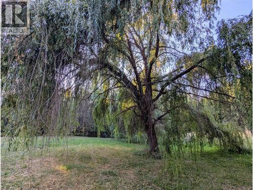 5060 Tatlow Road, Salmon Arm, BC - Outdoor With View