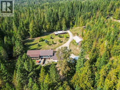 2510 Samuelson Road, Sicamous, BC - Outdoor With View