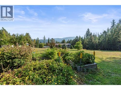 2510 Samuelson Road, Sicamous, BC - Outdoor With View